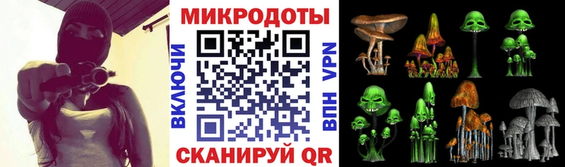 хочу   Похвистнево  Галлюциногенные грибы Cubensis 