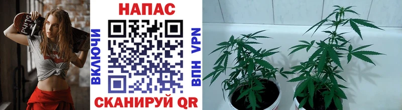 ссылка на мегу как войти  Похвистнево  Каннабис VHQ 